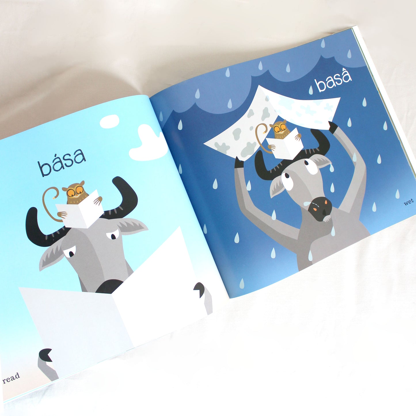SÁYA/SAYÁ! A Book of Homonyms