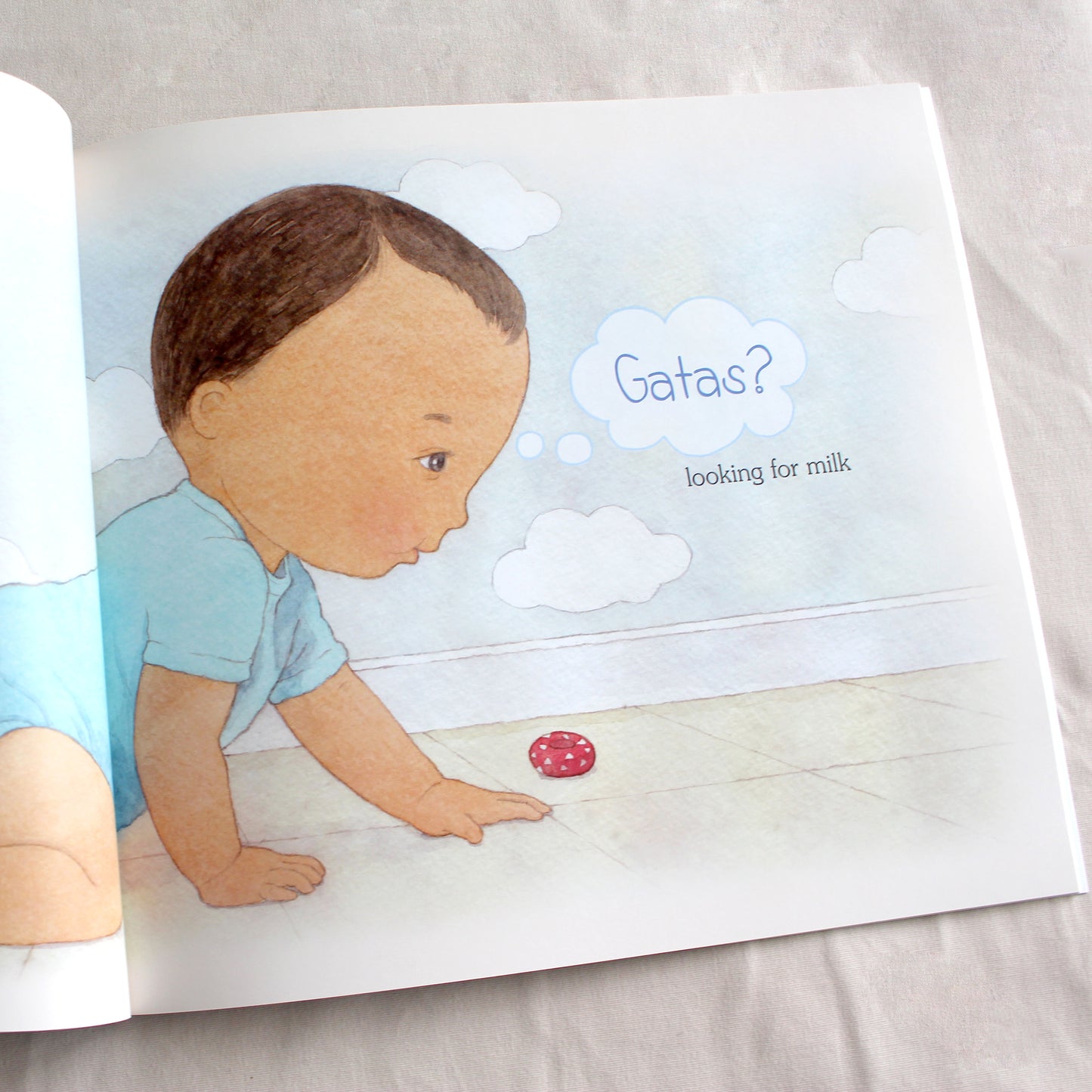 MÉME: The Baby Book