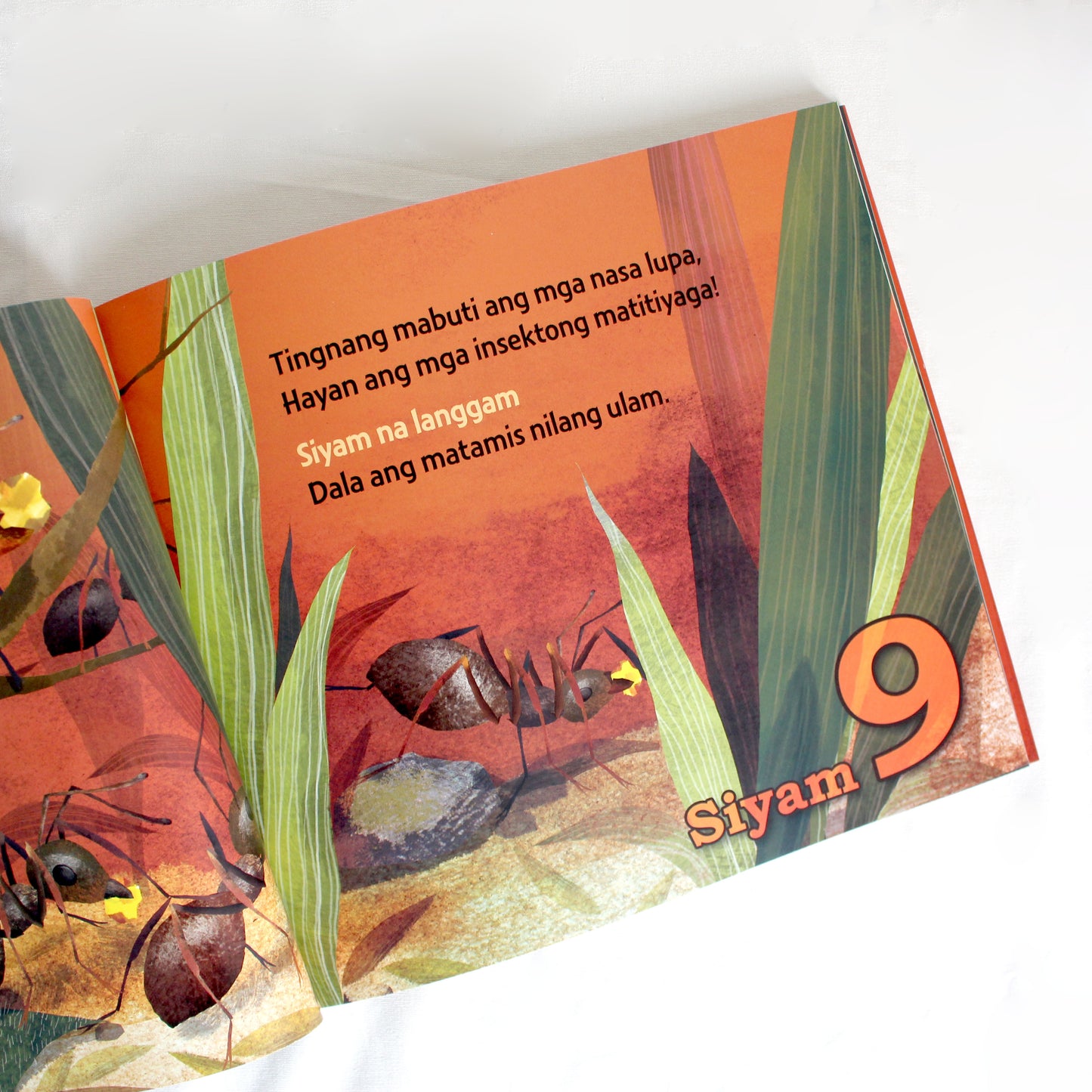 TAGU-TAGUAN: A Counting Book in Filipino