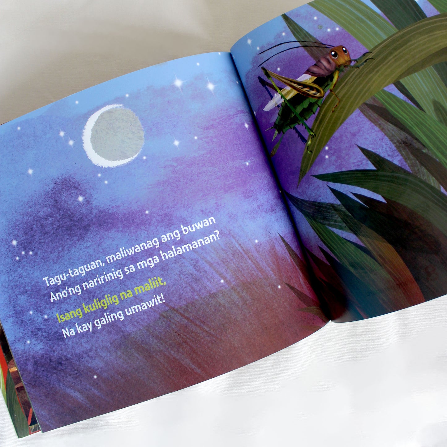 TAGU-TAGUAN: A Counting Book in Filipino