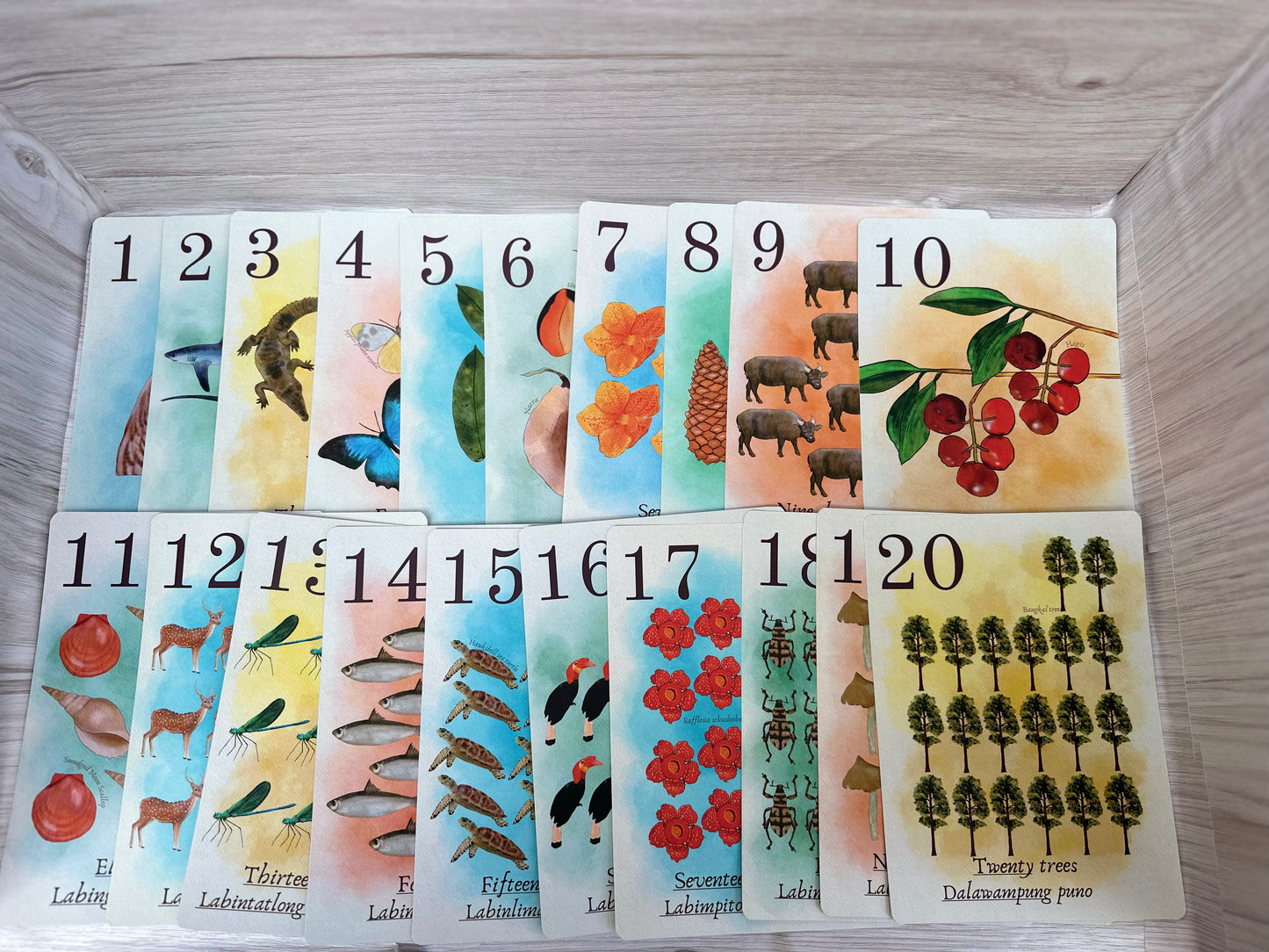 Digitally Illustrated Nature Counting Flash Cards