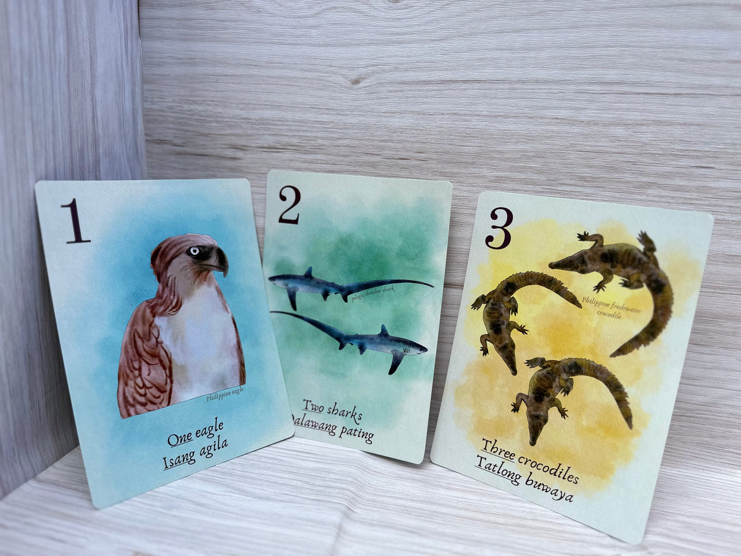 Digitally Illustrated Nature Counting Flash Cards